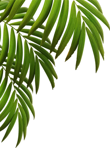 lampu