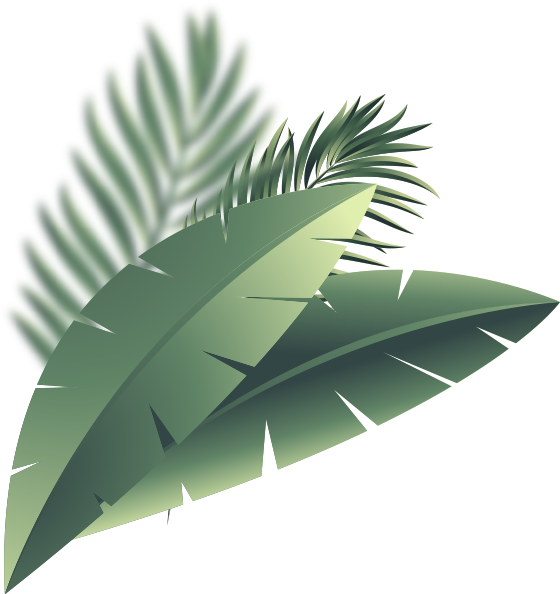 tree-3